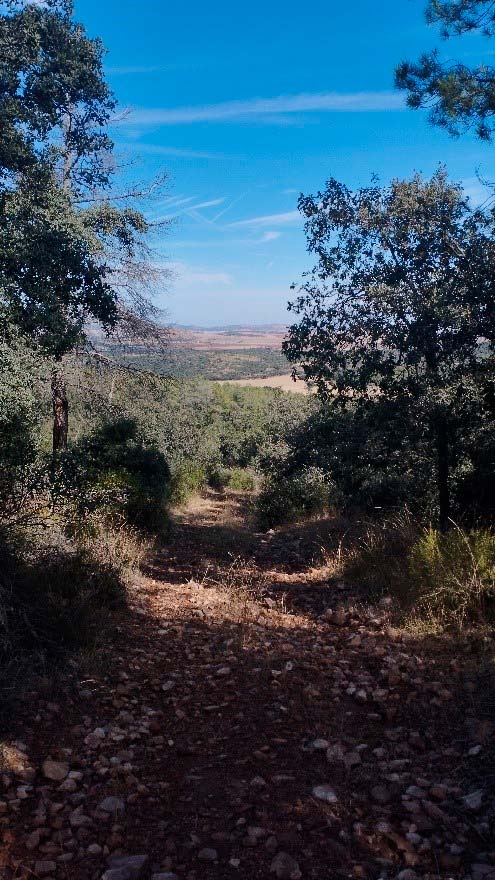 La Calderina