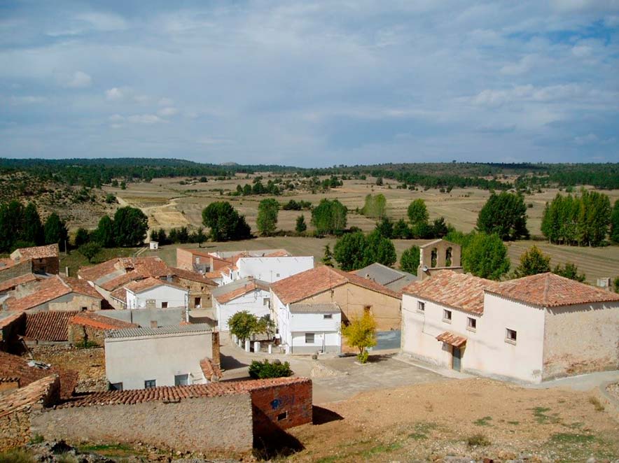 Pajaroncillo